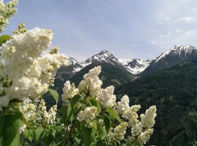Innerkienzerhof - Urlaub Am Bauernhof