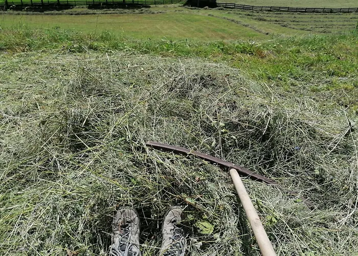 Innerkienzerhof - Urlaub Am Bauernhof *