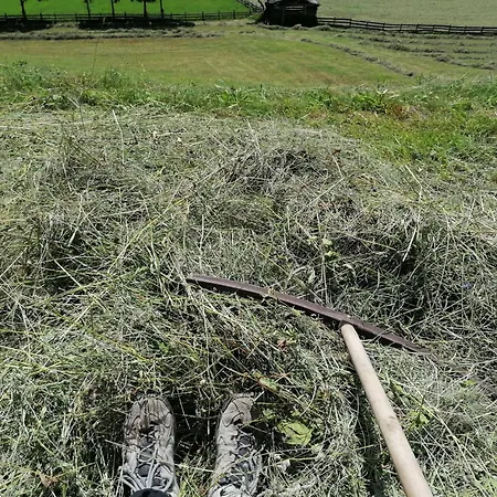 Innerkienzerhof - Urlaub Am Bauernhof *